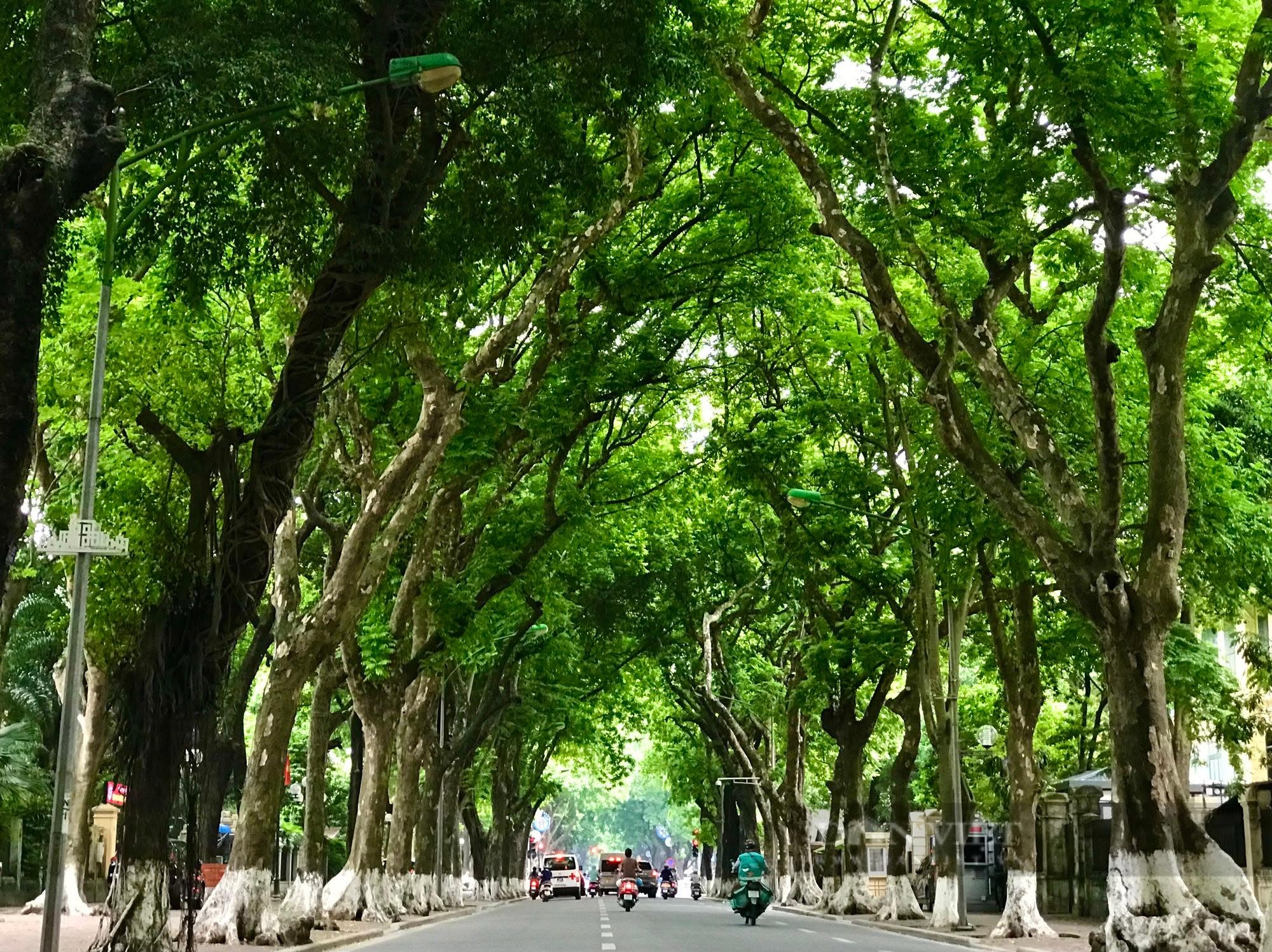 Tháng 10, Hà Nội không chỉ có hoa sữa: Hãy đến những nơi này để cảm nhận trọn vẹn hương sắc mùa thu - Ảnh 3.