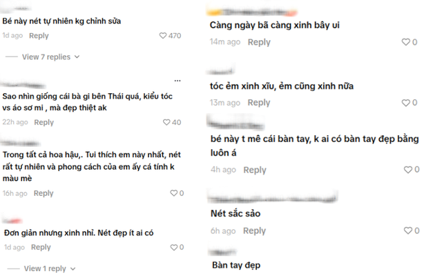  - Ảnh 4.