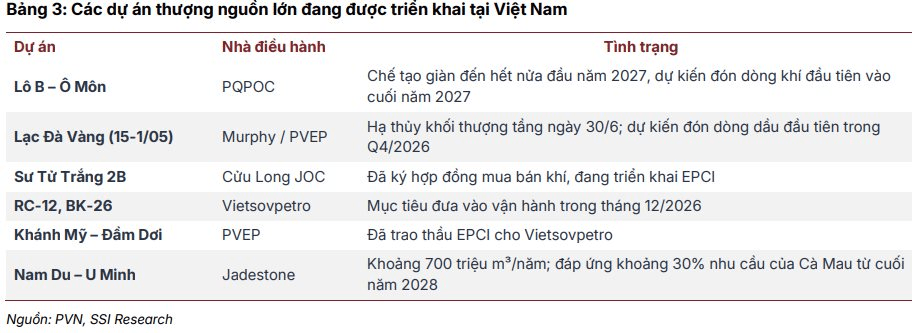  - Ảnh 5.
