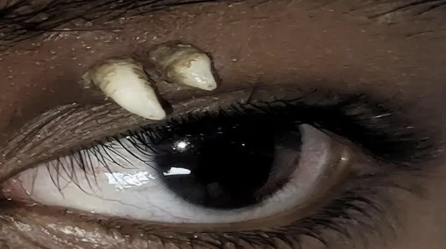  - Ảnh 1.