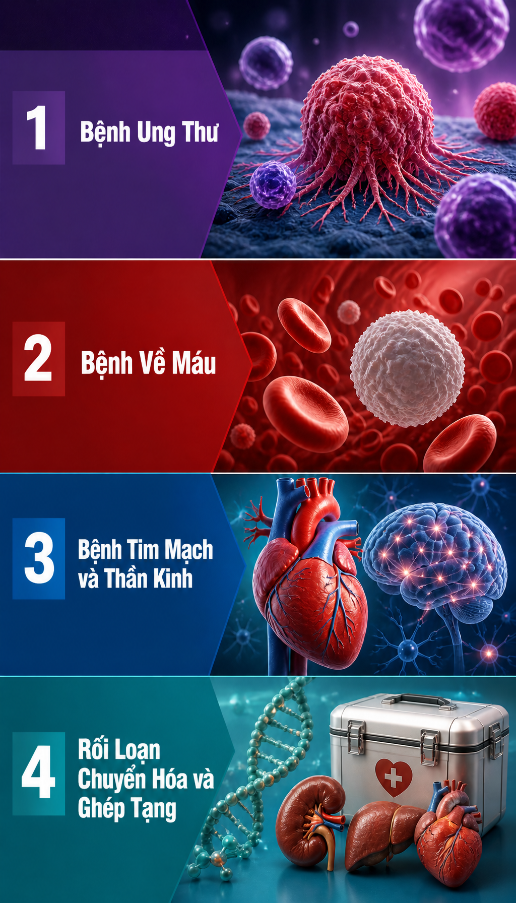 Tất cả người dân có sổ BHXH, thẻ BHYT chú ý thông báo từ Bảo hiểm xã hội Việt Nam - Ảnh 1.