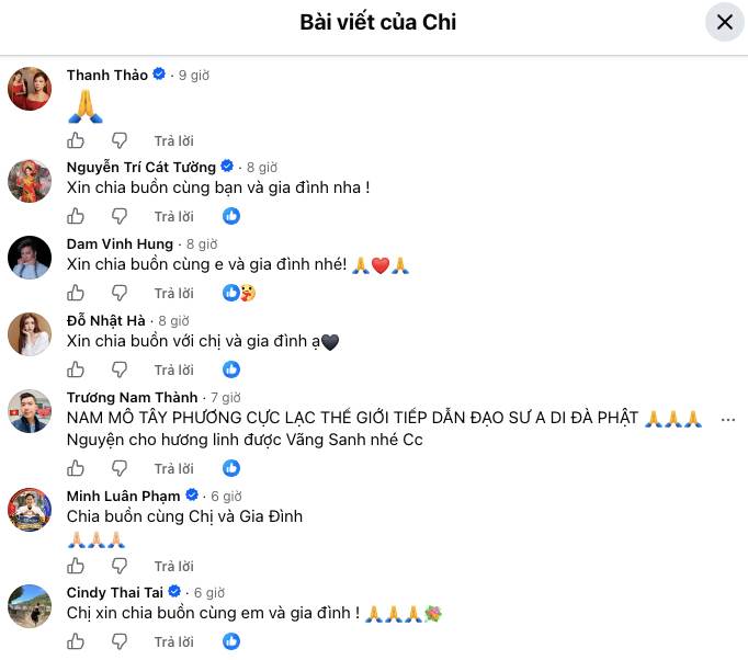 Loạt sao Việt chia buồn với ca sĩ Lâm Khánh Chi - Ảnh 2.
