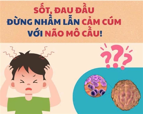  - Ảnh 3.