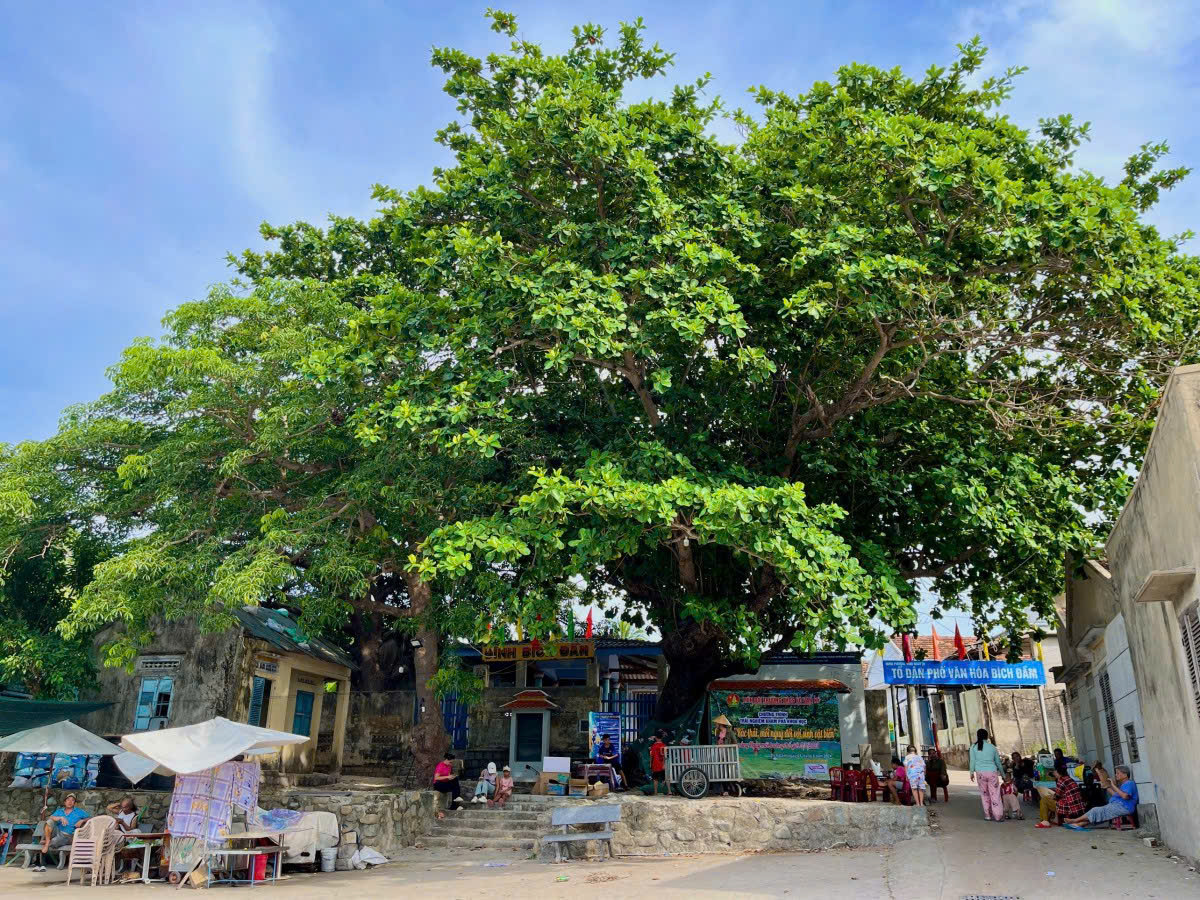 Phát hiện làng chài ở Việt Nam chỉ có điện 4 tiếng/ngày - Ảnh 5.