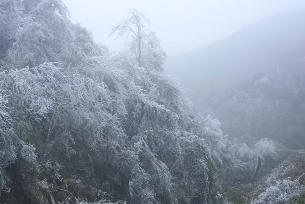 Phát hiện đỉnh núi cao hơn 1.500m ở Việt Nam, từng lạnh dưới 0°C, cây cối phủ trắng băng giá như trời Âu - Ảnh 1.