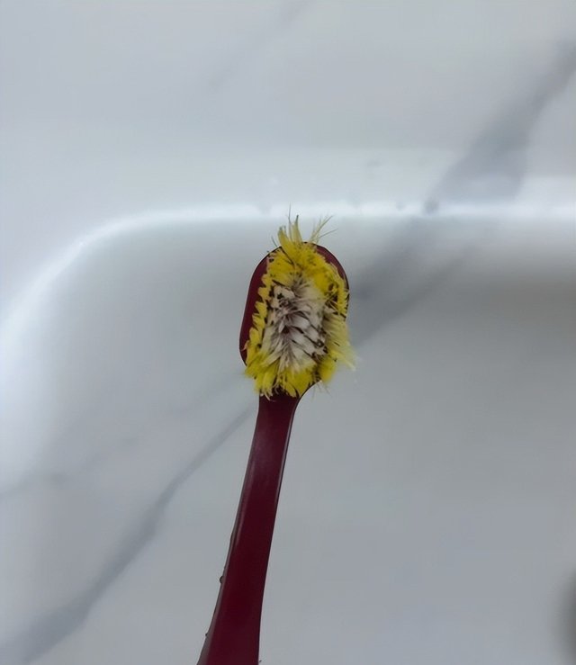 - Ảnh 3.