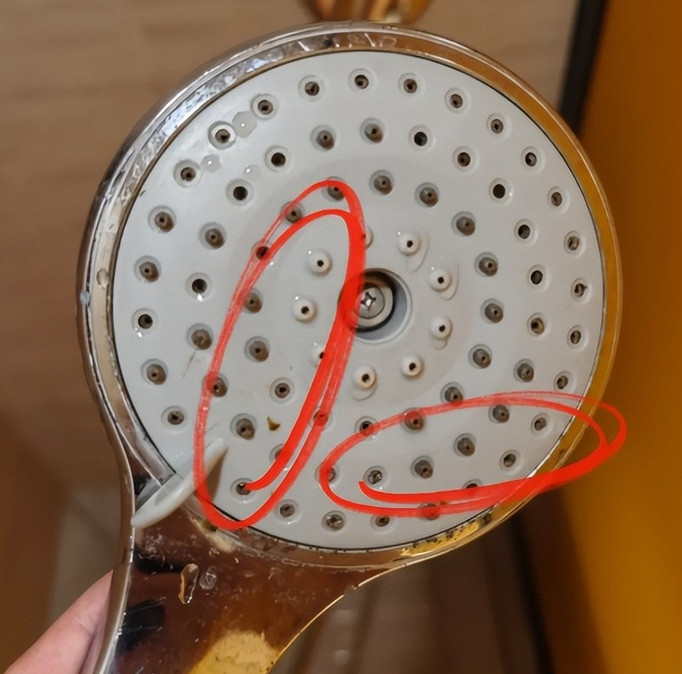 - Ảnh 6. - Ảnh 6.