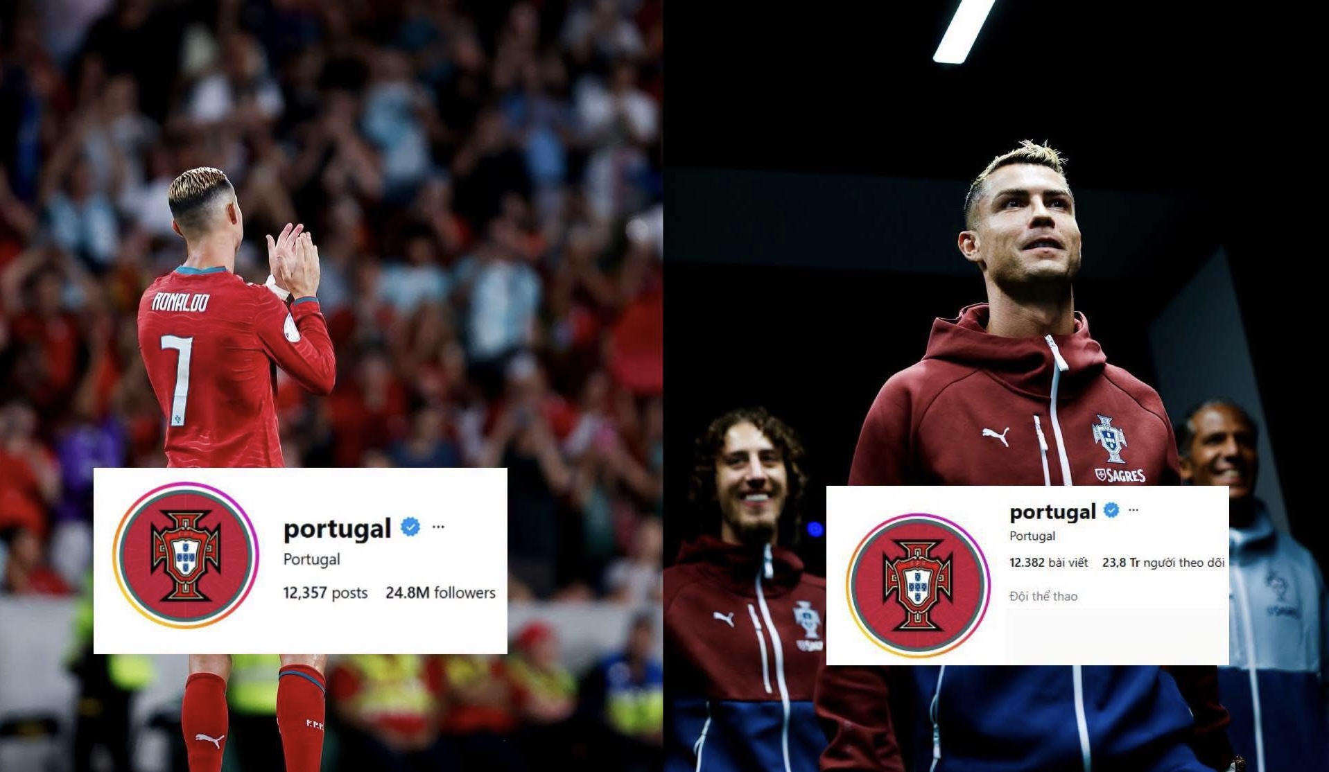 Ronaldo rời đội tuyển Bồ Đào Nha , mạng xã hội LĐBĐ Bồ Đào Nha mất hơn 1 triệu theo dõi - Ảnh 1. Ronaldo rời đội tuyển Bồ Đào Nha , mạng xã hội LĐBĐ Bồ Đào Nha mất hơn 1 triệu theo dõi - Ảnh 1.