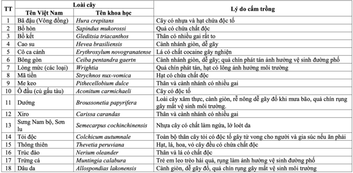 - Ảnh 1. - Ảnh 1.