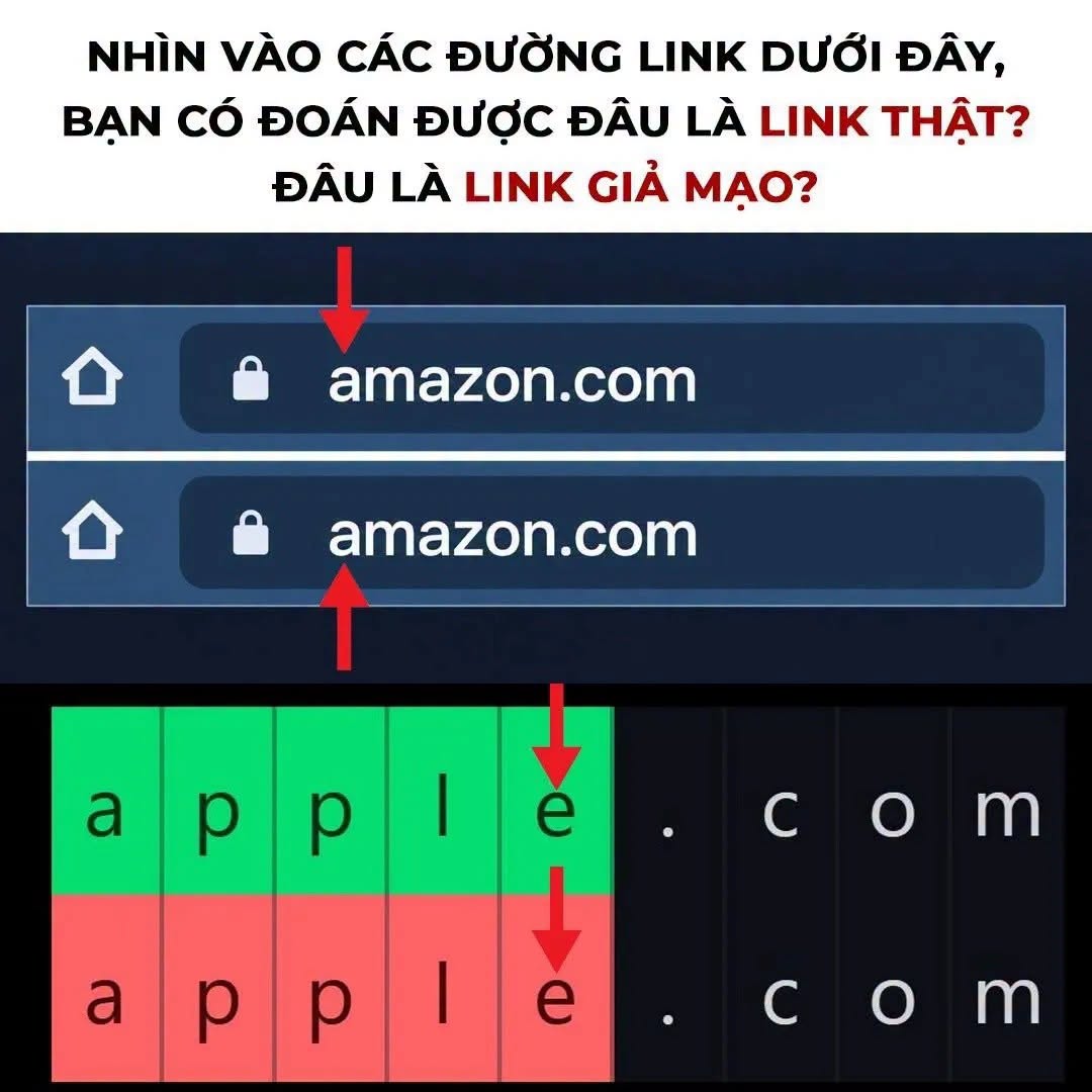  - Ảnh 3.