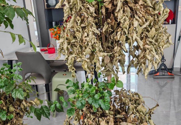 VỨT 4 thứ vô dụng này đi, không gian rộng ra trông thấy - Ảnh 1.