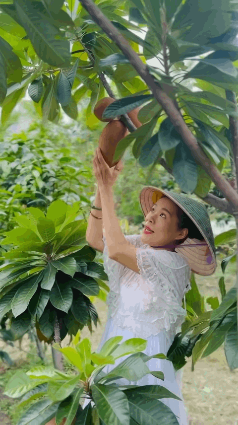 - Ảnh 4.