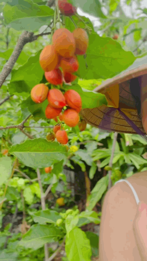  - Ảnh 8.