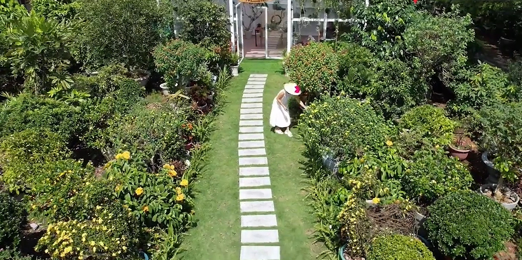  - Ảnh 3.