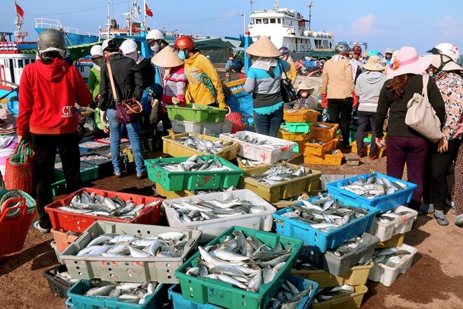 Hòn đảo Phú Quý  với tô mì mực 30.000 đồng chỉ hoạt động 6 tháng mỗi năm - Ảnh 10.