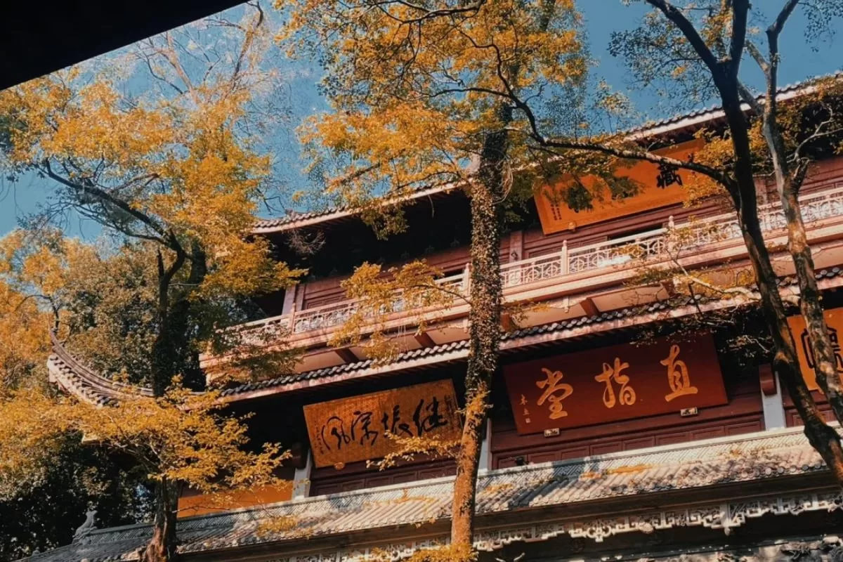 Gallery - Khám phá Hàng Châu - thiên đường hạ giới - image 9