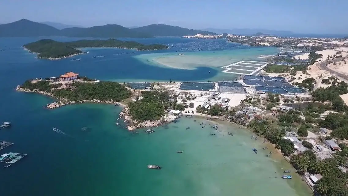 Đầm Môn - nơi đón ánh nắng đầu tiên của Việt Nam với bãi biển trong xanh tuyệt đẹp - Ảnh 8.