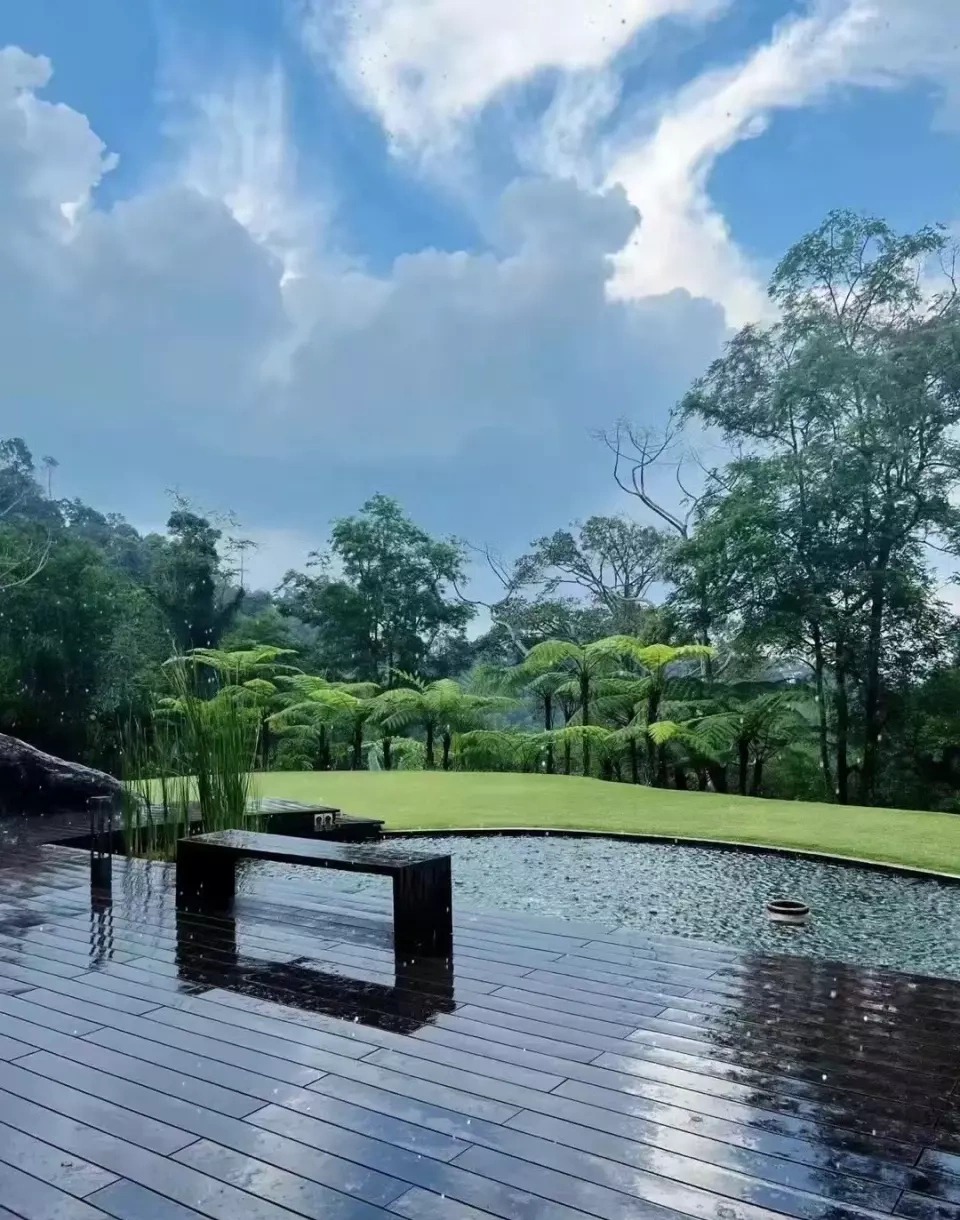  - Ảnh 6.