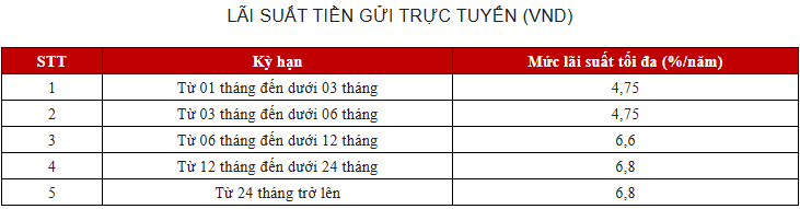  - Ảnh 5.