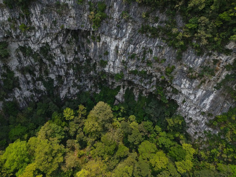Gallery - Phát hiện hố sụt sâu 120m ở Việt Nam nhờ Google Earth, đoàn thám hiểm liền xuống đáy và thấy điều bất ngờ - image 2