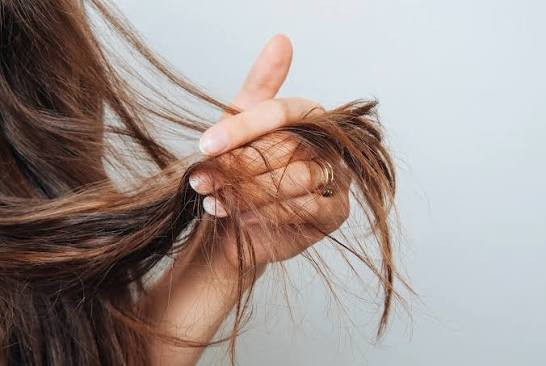 T&oacute;c kh&ocirc; xơ, chẻ ngọn? H&atilde;y thử 3 phương ph&aacute;p n&agrave;y &ndash; ch&uacute;ng hiệu quả hơn cả mặt nạ dưỡng t&oacute;c- Ảnh 1.