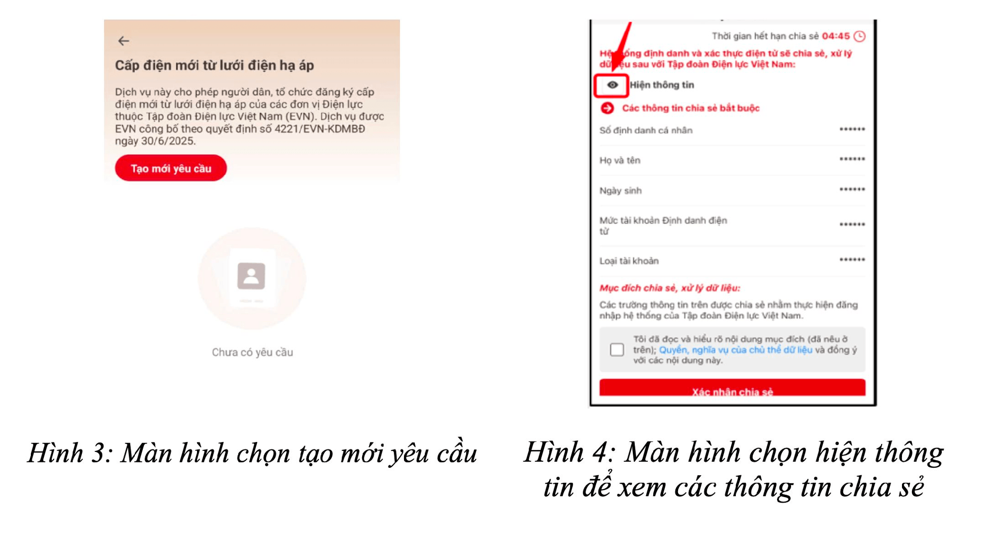  - Ảnh 3.