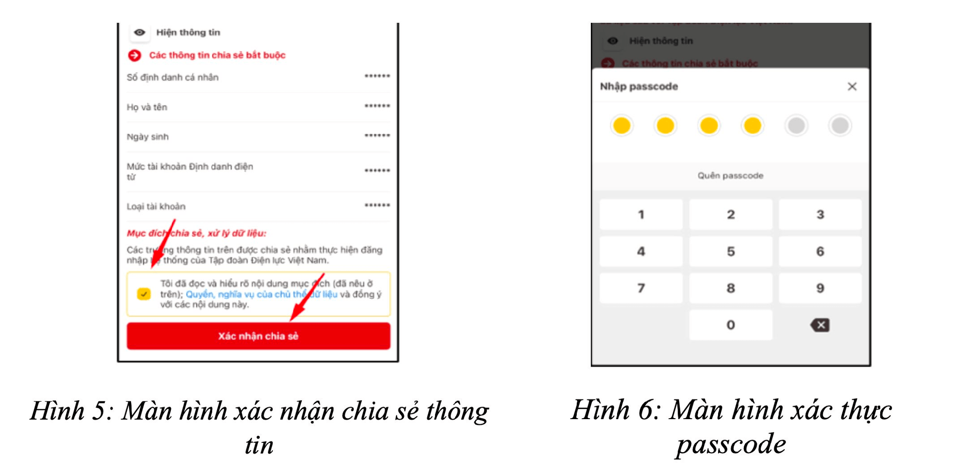  - Ảnh 4.