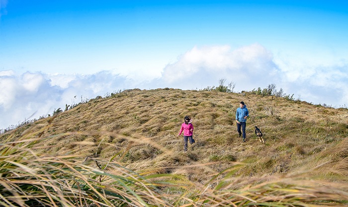 Phát hiện bản làng ở độ cao 1.300m tại Việt Nam, mùa xuân cả sườn núi nhuộm hồng như một tấm lụa khổng lồ - Ảnh 1.
