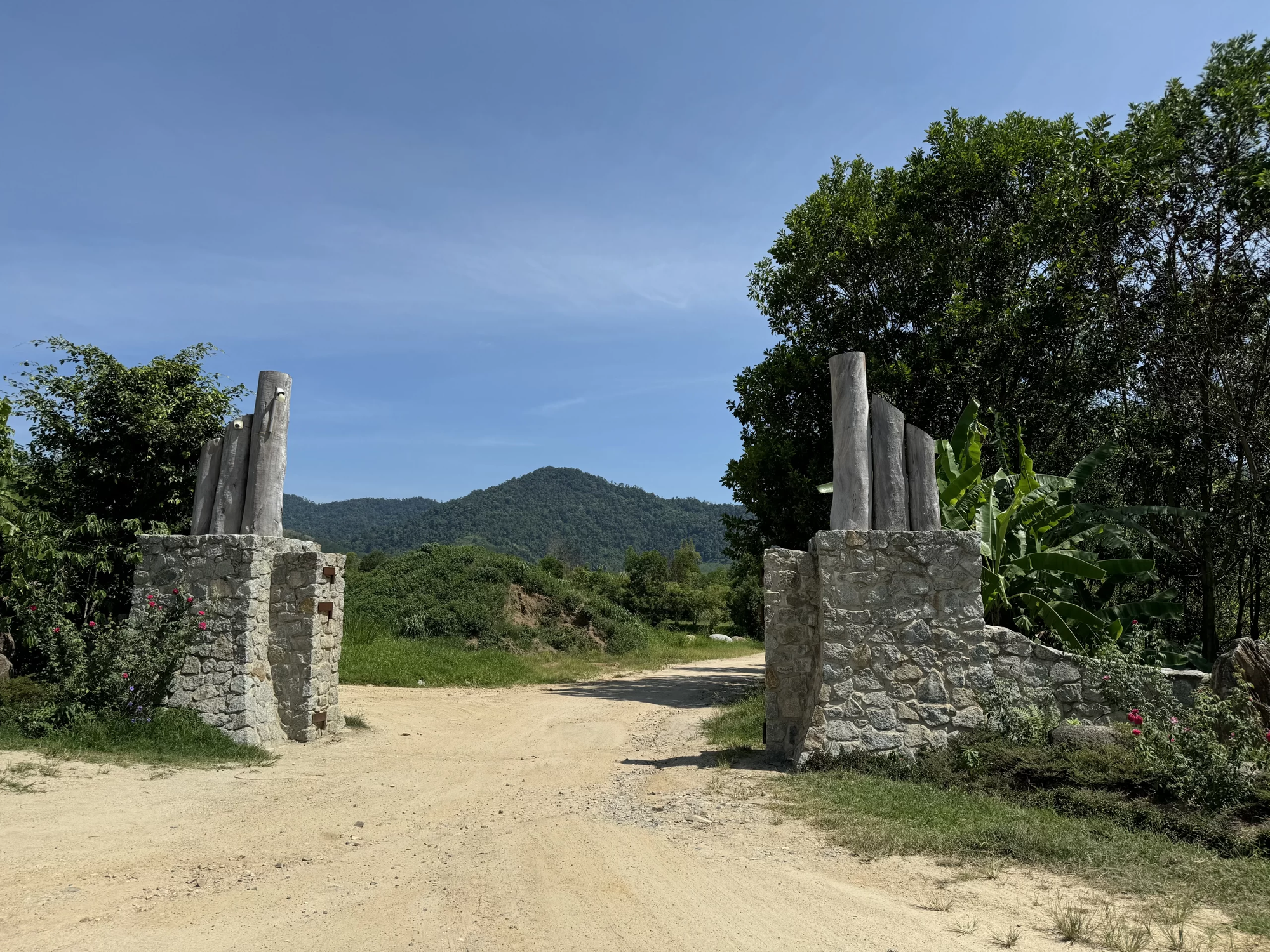 Trang trại chăn nu&ocirc;i của &ocirc;ng Đặng L&ecirc; Nguy&ecirc;n Vũ: Đam m&ecirc; ngựa v&agrave; du lịch sinh th&aacute;i - Ảnh 1.