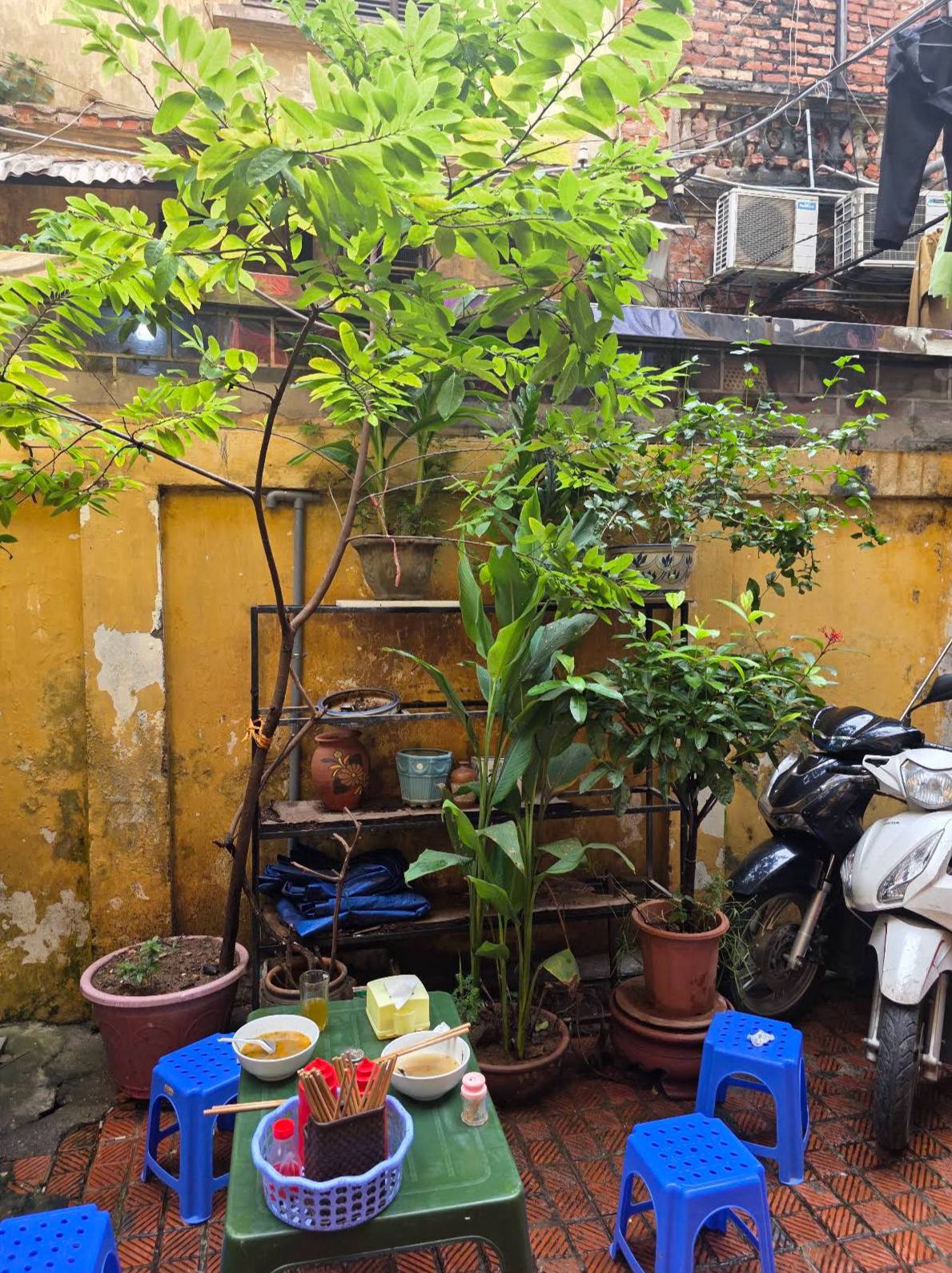 Bún mọc Cây Khế 40 . 000 Đồng trong biệt thự 100 tuổi giữa Hà Nội - Ảnh 14.