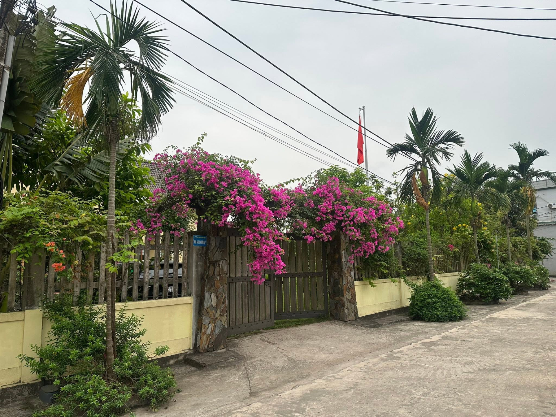  - Ảnh 4.