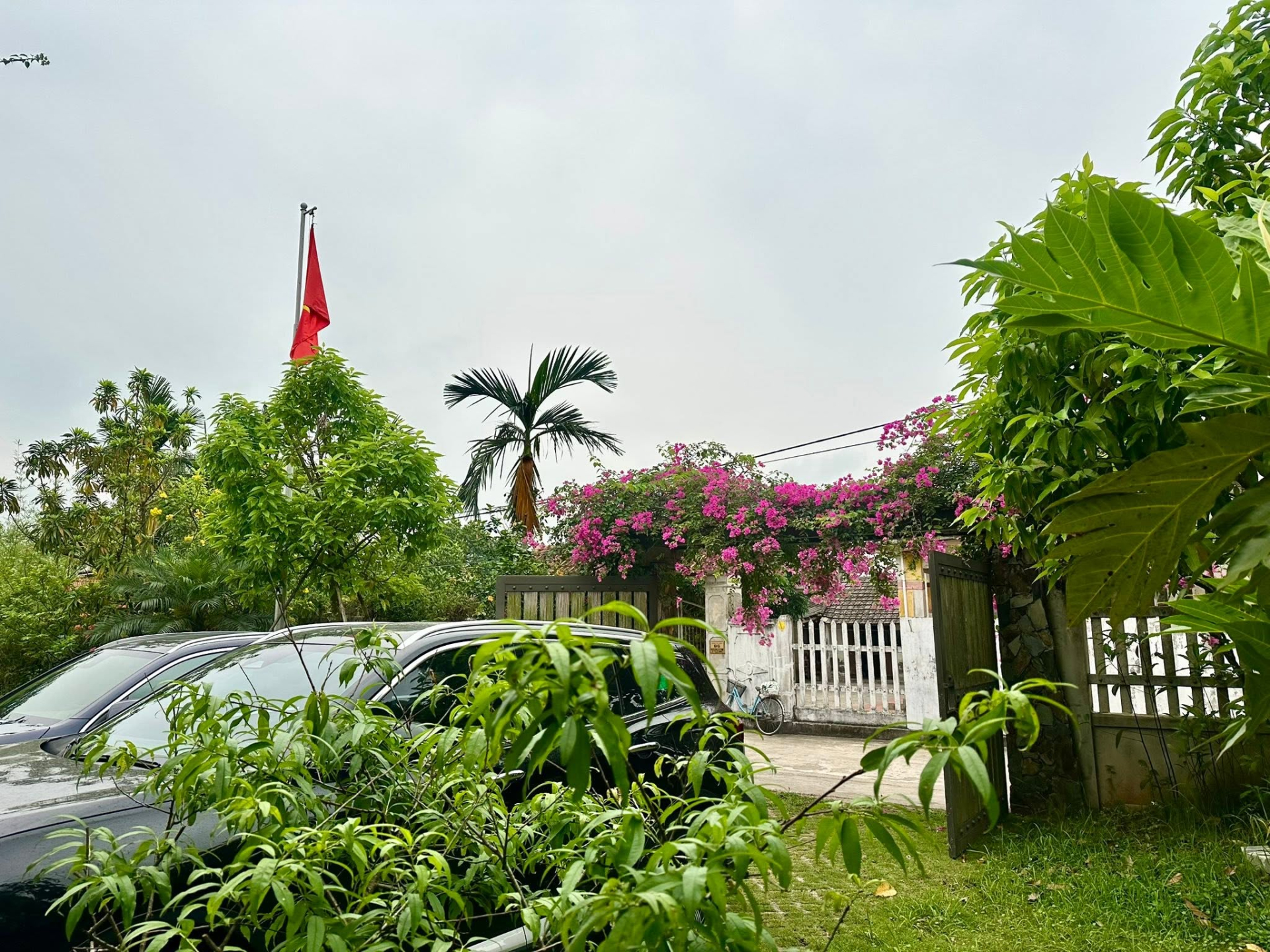  - Ảnh 6.