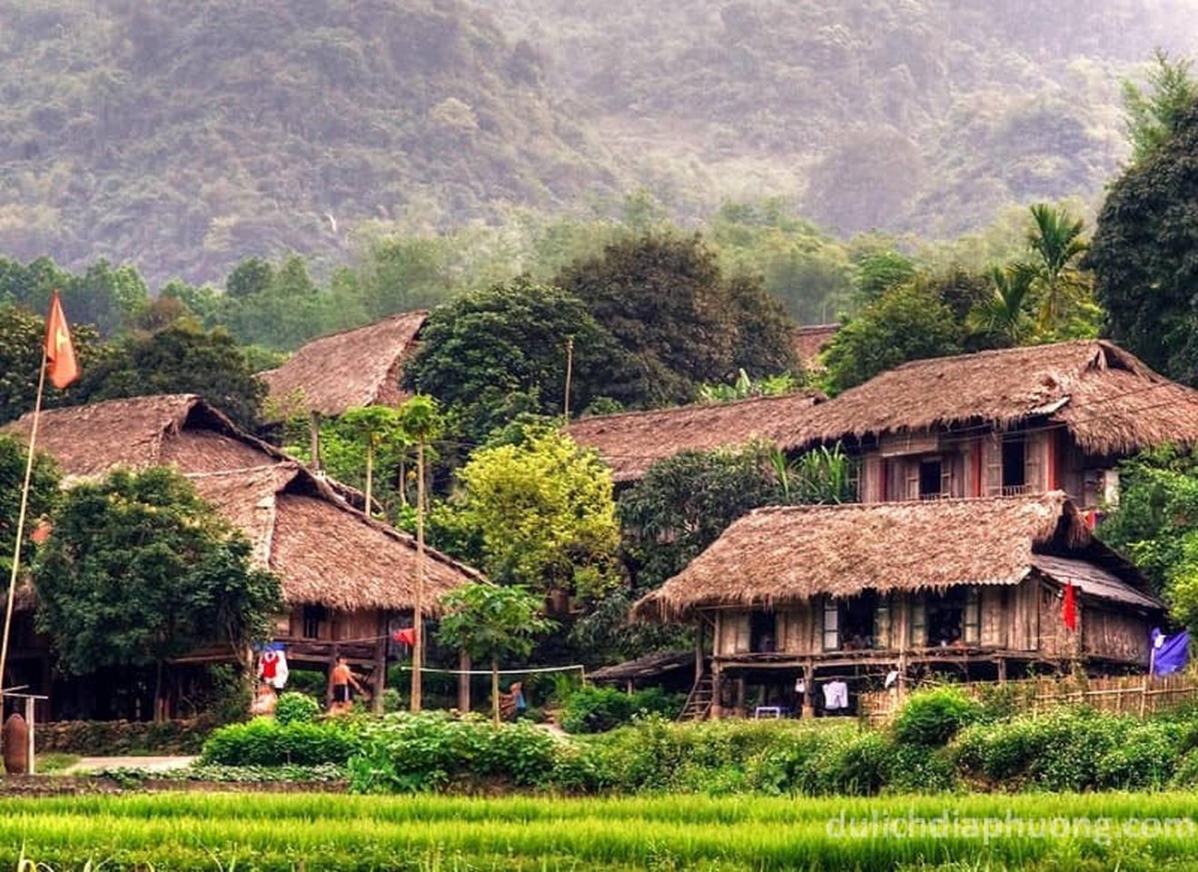 Phát hiện vùng núi cao 1.200m ở Việt Nam, có 1.400 cây cổ thụ, nhiều thân to như cột đình phủ kín rêu già - Ảnh 1.