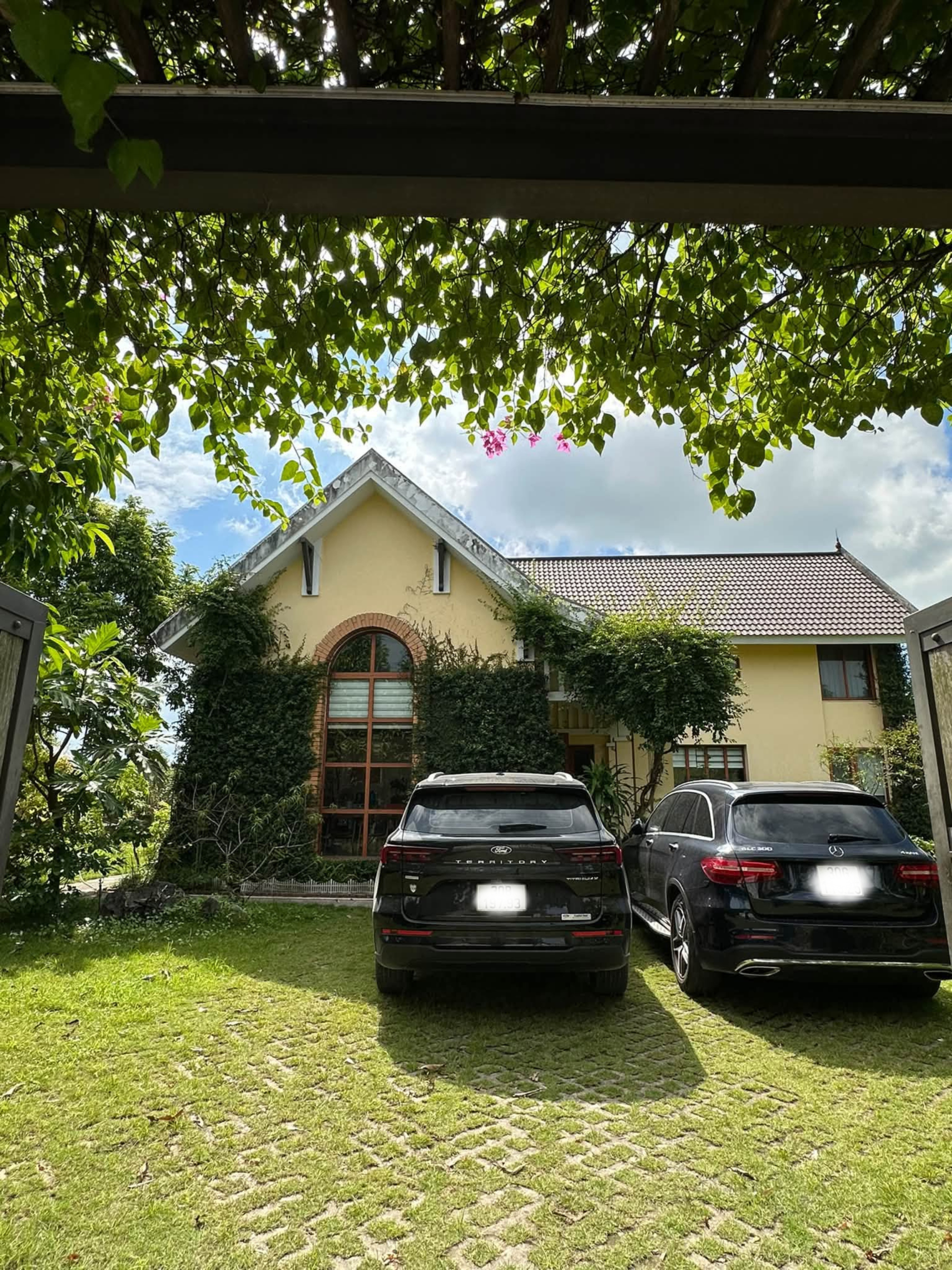  - Ảnh 8.