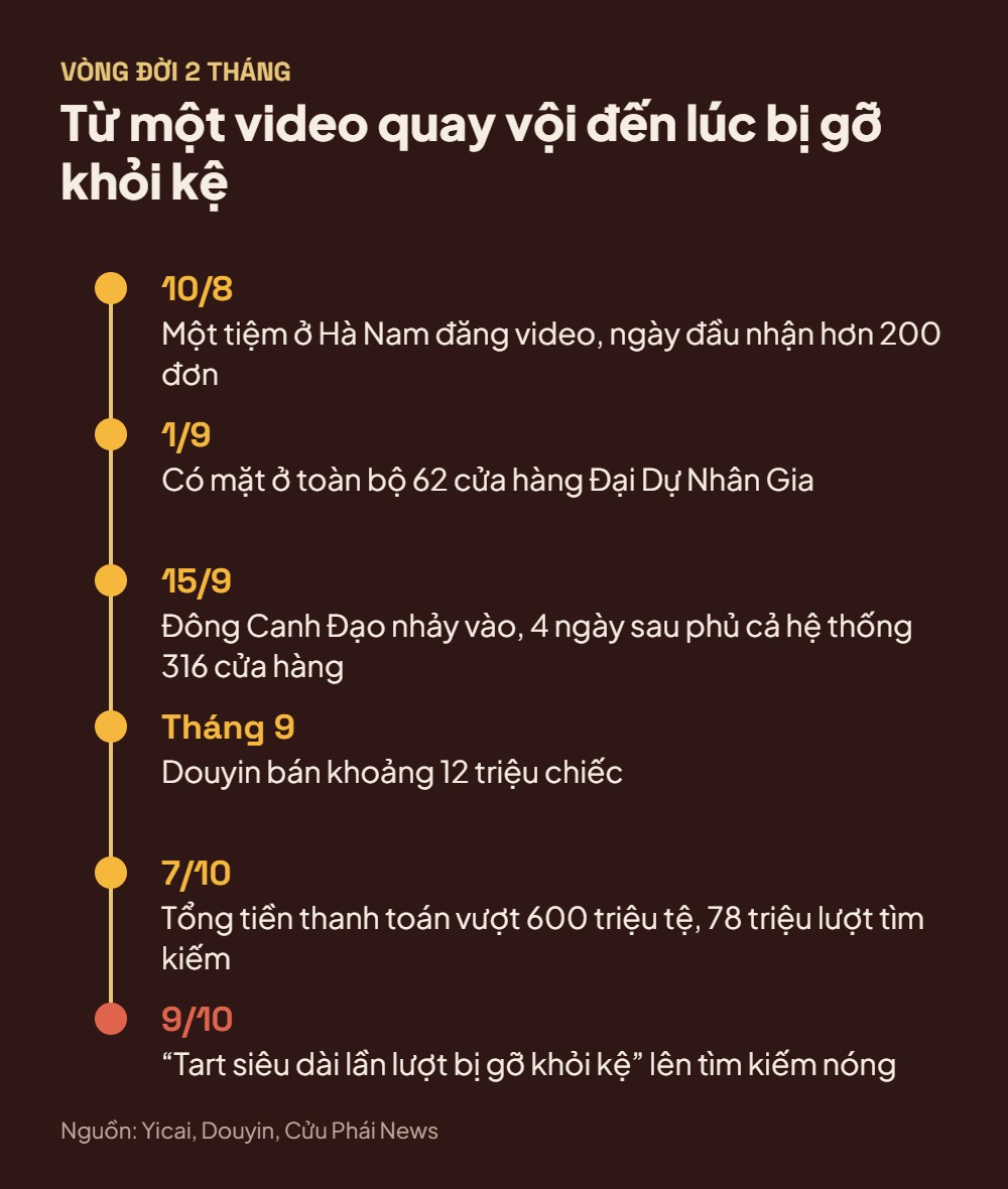  - Ảnh 4.