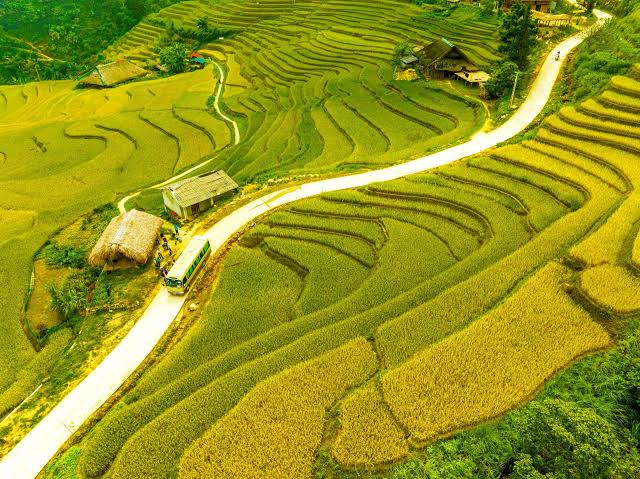 Phát hiện bản làng ở độ cao hơn 1.000m tại Việt Nam, 7 tháng mỗi năm mái nhà phủ xanh như tấm thảm nhung - Ảnh 6.