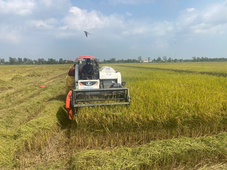 Láng giềng của Mỹ hỗ trợ Việt Nam phát triển