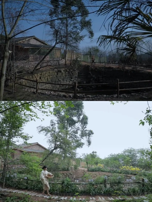  - Ảnh 15.