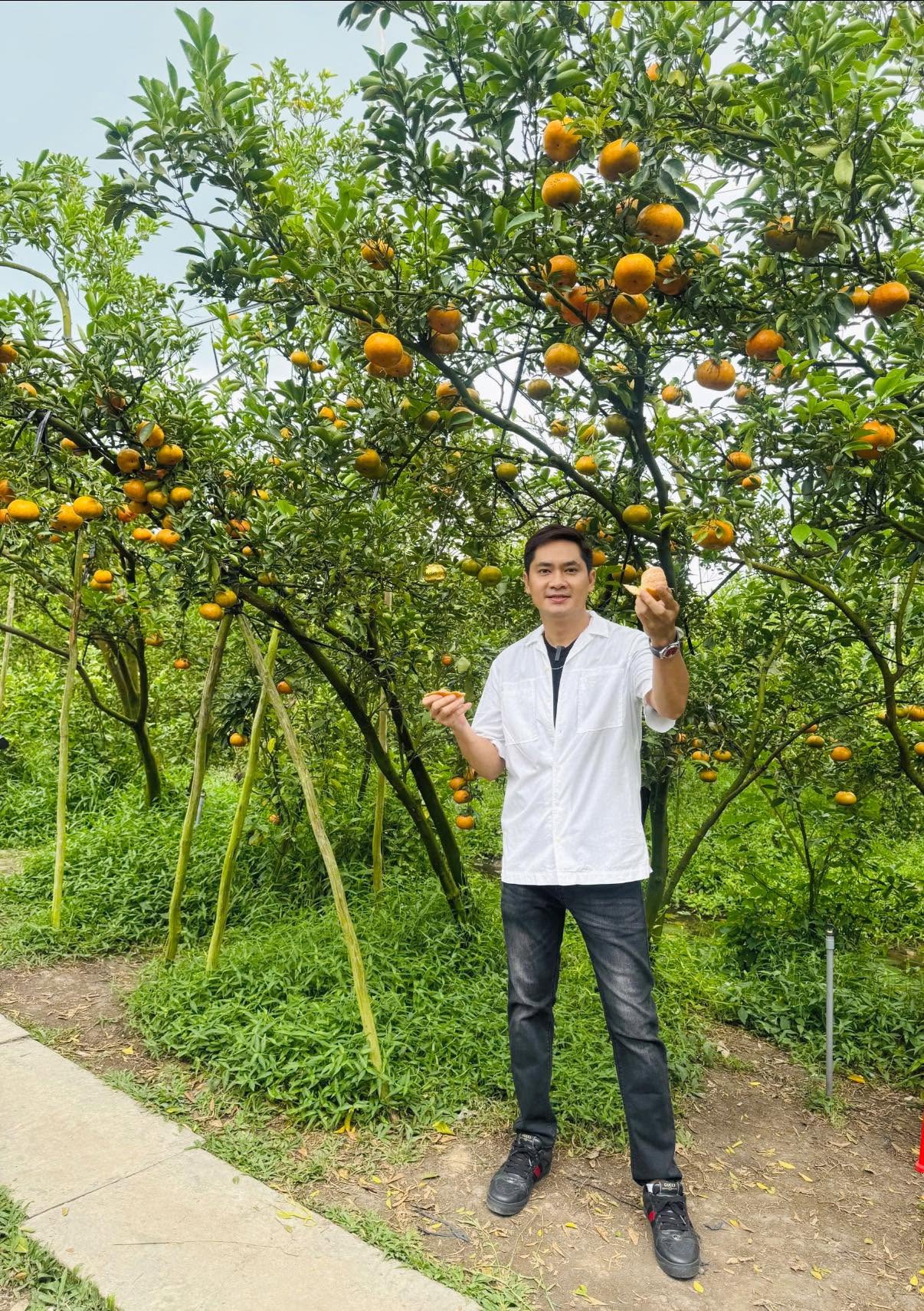 - Ảnh 7. - Ảnh 7.