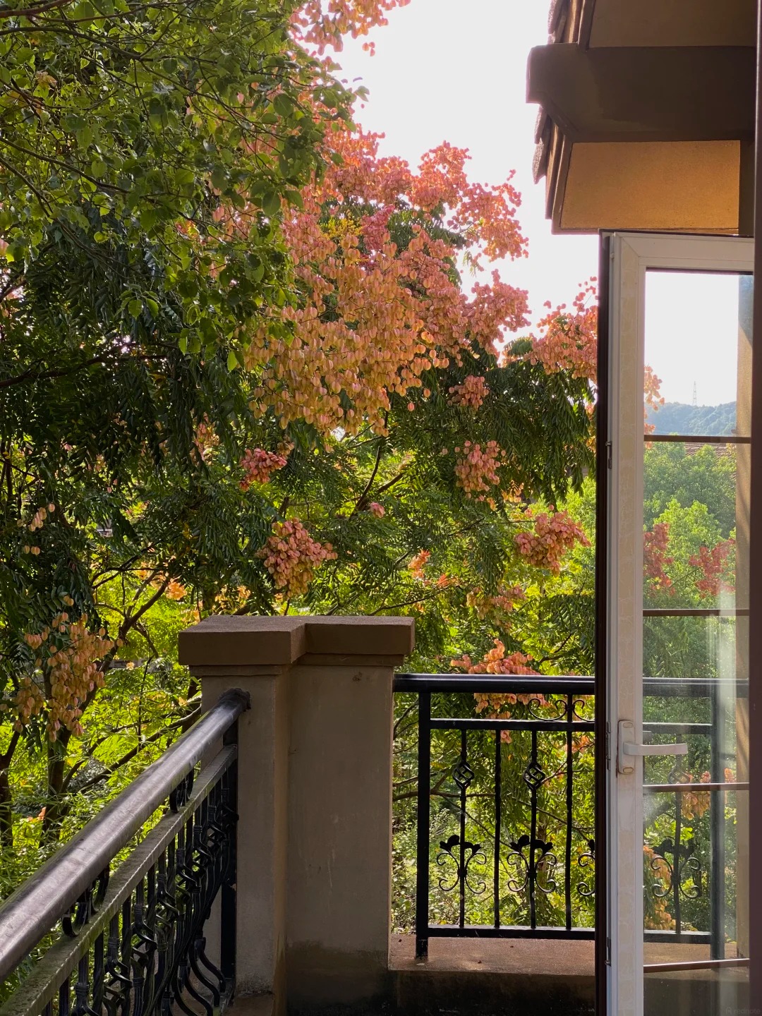  - Ảnh 8.
