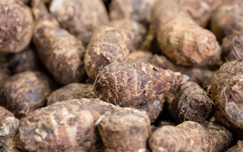 - Ảnh 1. - Ảnh 1.