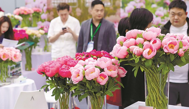 Kỳ lạ s&agrave;n giao dịch đấu gi&aacute; hoa lớn nhất ch&acirc;u &Aacute; năm 2026 - Ảnh 6.