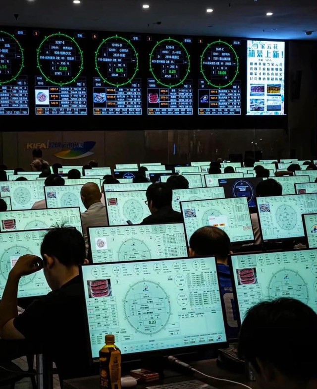 Kỳ lạ s&agrave;n giao dịch đấu gi&aacute; hoa lớn nhất ch&acirc;u &Aacute; năm 2026 - Ảnh 4.