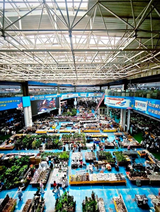 Kỳ lạ s&agrave;n giao dịch đấu gi&aacute; hoa lớn nhất ch&acirc;u &Aacute; năm 2026 - Ảnh 2.