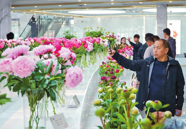 Kỳ lạ s&agrave;n giao dịch đấu gi&aacute; hoa lớn nhất ch&acirc;u &Aacute; năm 2026 - Ảnh 3.