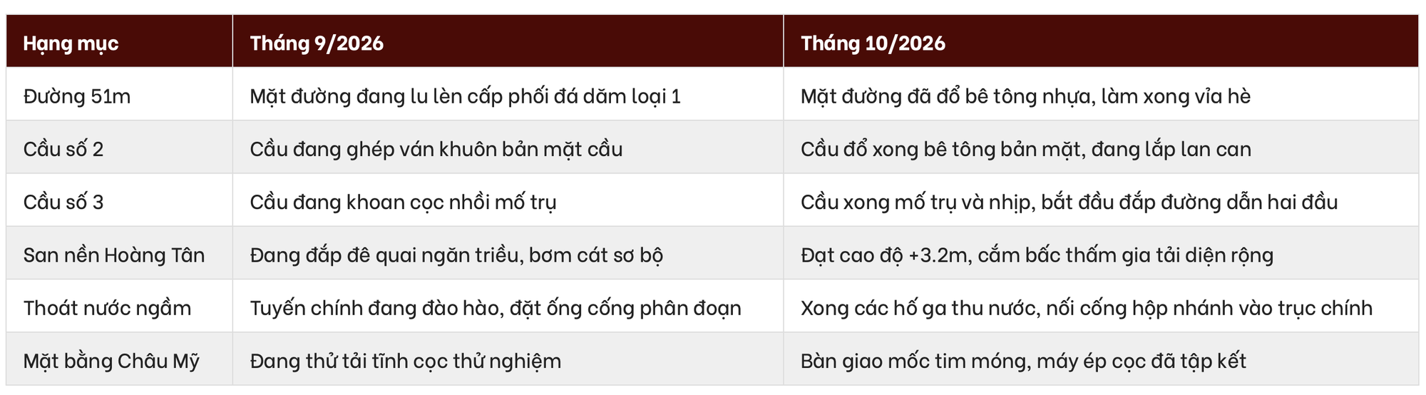 Tỷ phú Phạm Nhật Vượng đang cho 9.000 người, 2.000 máy móc “phủ kín” siêu dự án 18 tỷ USD, Đại lộ Thiên đường dần lộ diện - Ảnh 2.