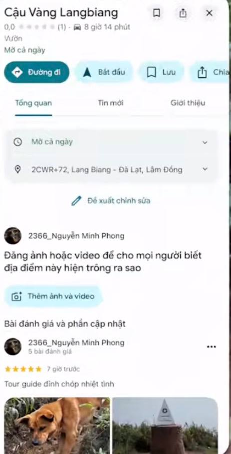  - Ảnh 7.