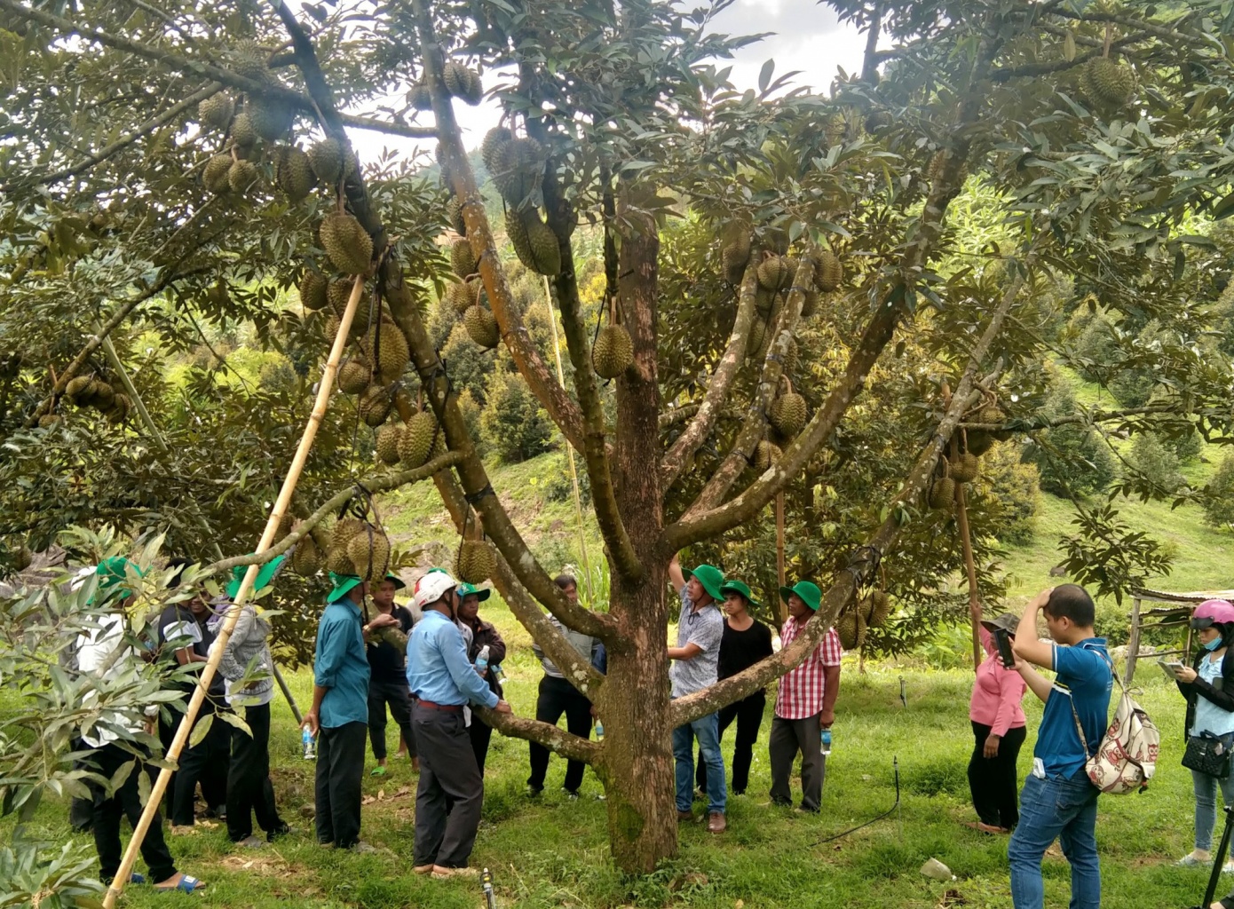 Phát hiện vùng đất có những viên đá Phát hiện vùng đất có những viên đá