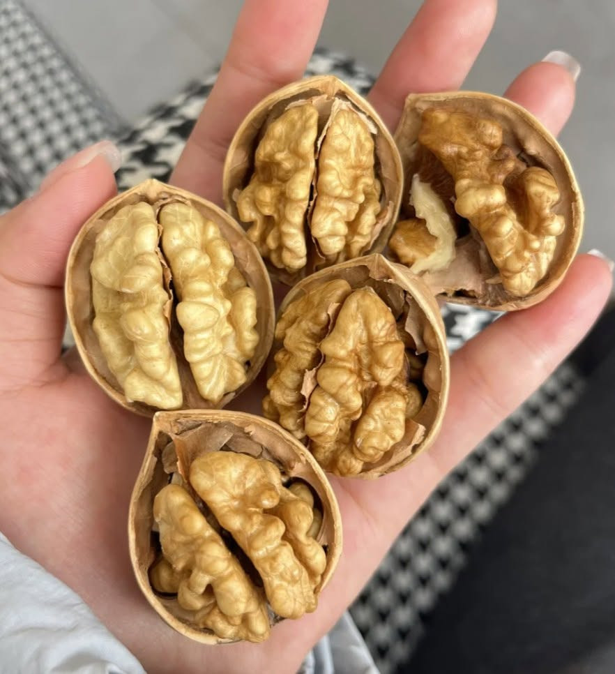 - Ảnh 3. - Ảnh 3.