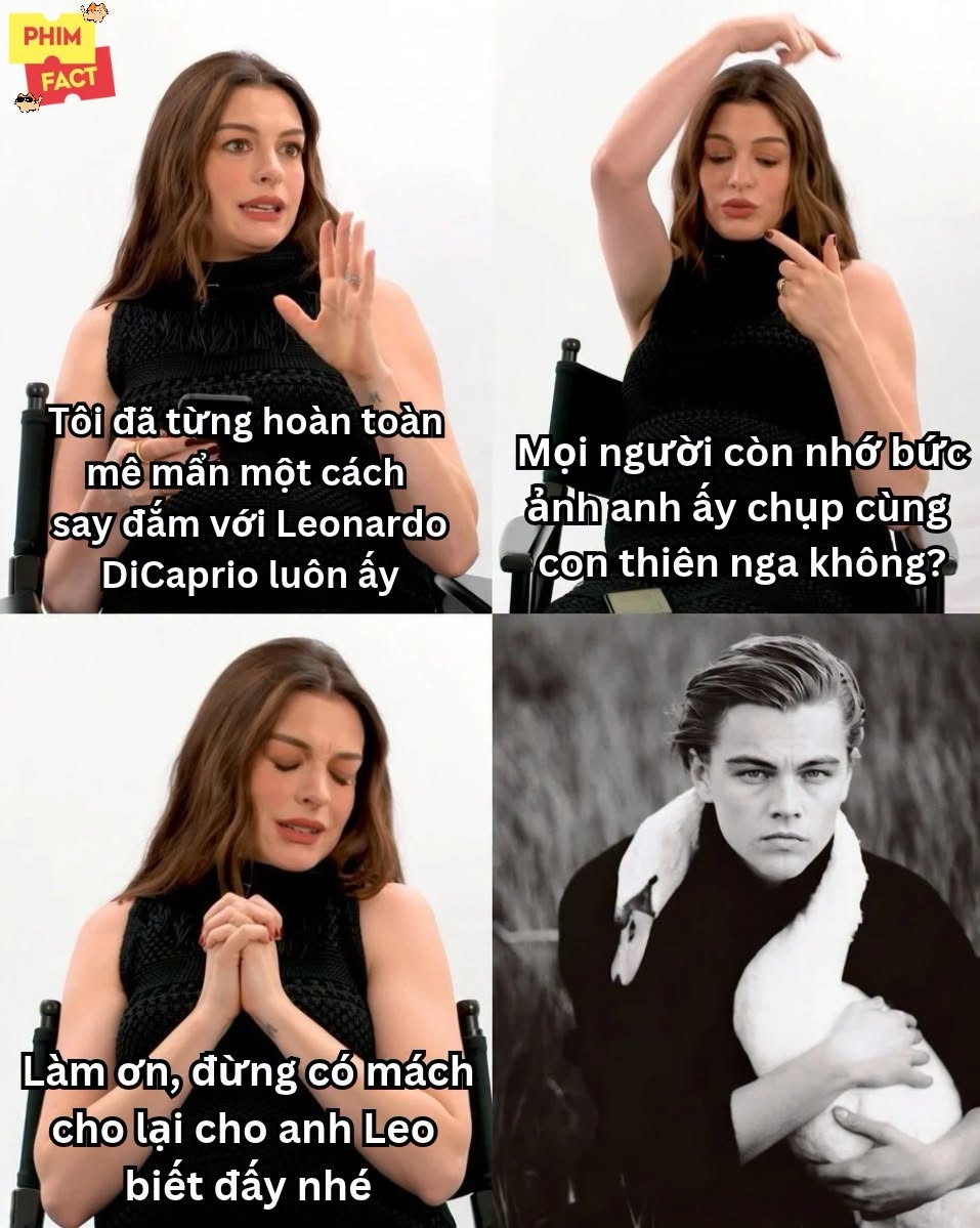  - Ảnh 1.